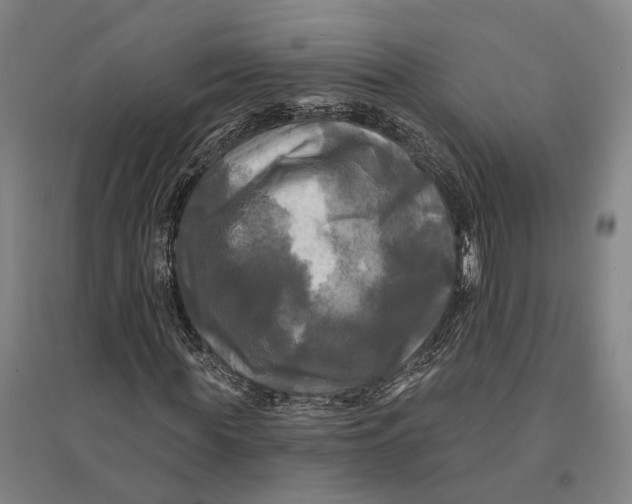 X0000095110819200712301734