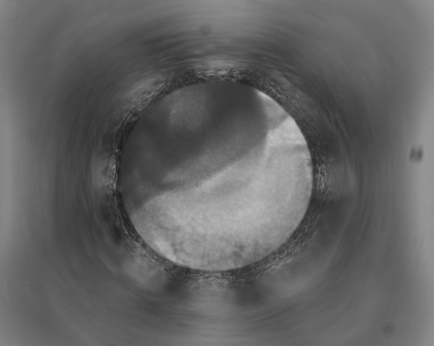 X0000095110820200712301734