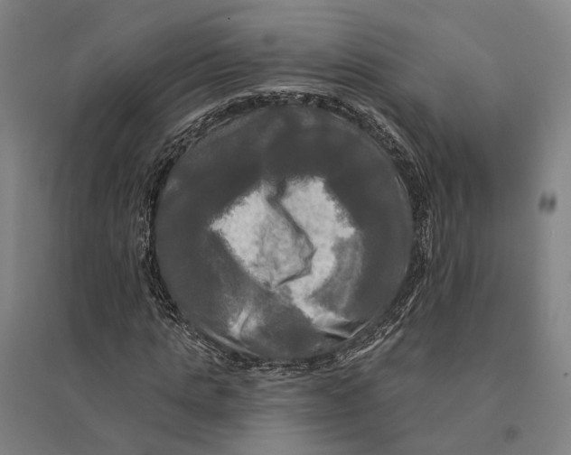 X0000095110821200712301734