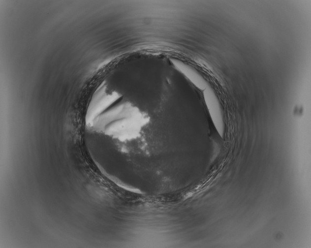 X0000095110822200712301734