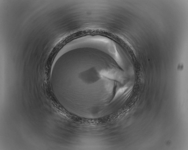 X0000095110823200712301734