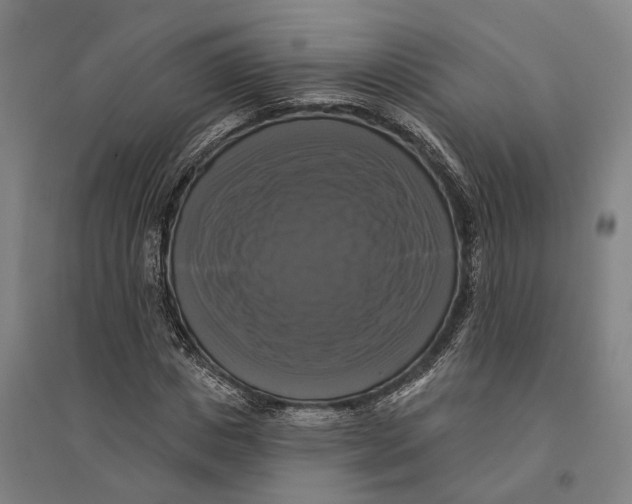 X0000095110825200712301734