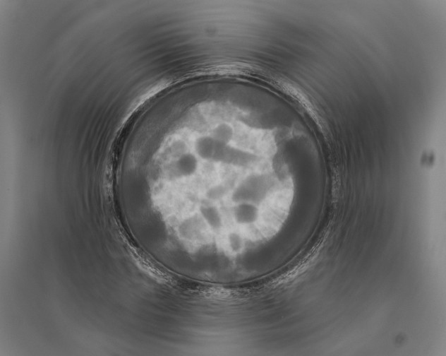 X0000095110827200712301734