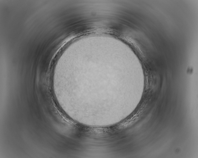 X0000095110828200712301734