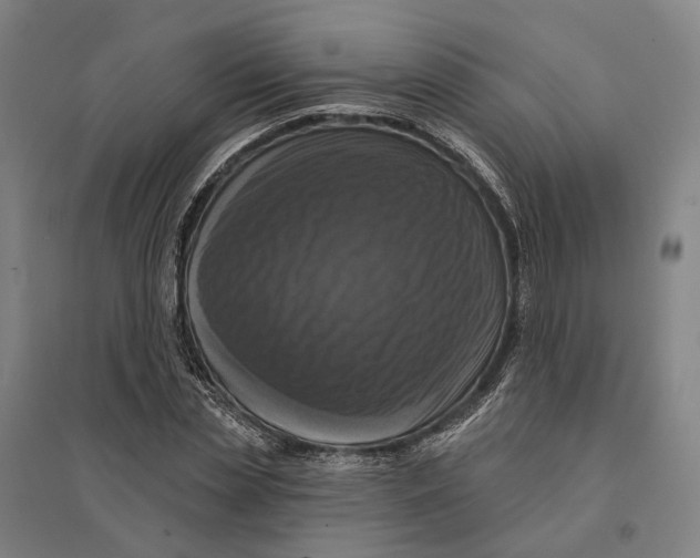 X0000095110829200712301734