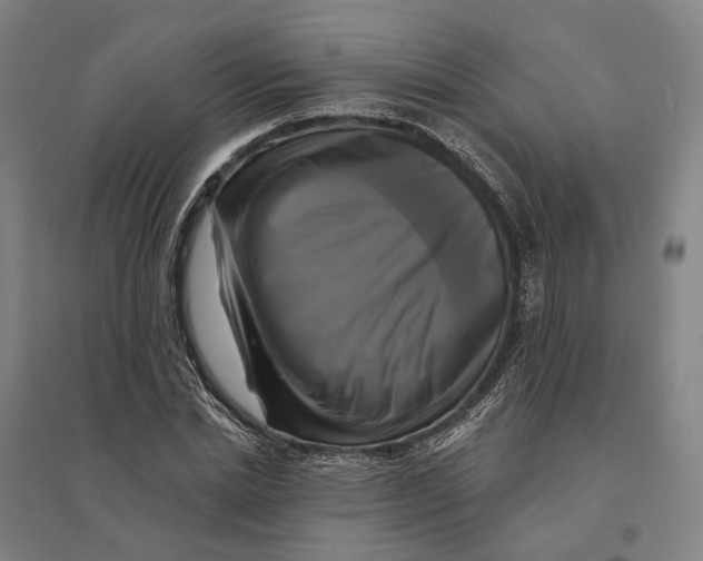 X0000095110830200712301734