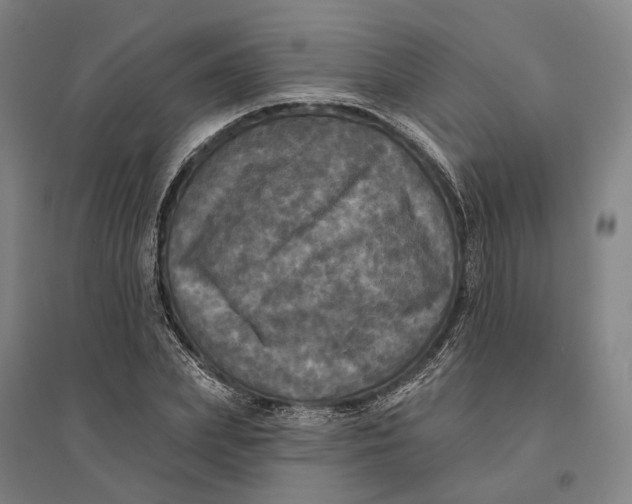 X0000095110831200712301734