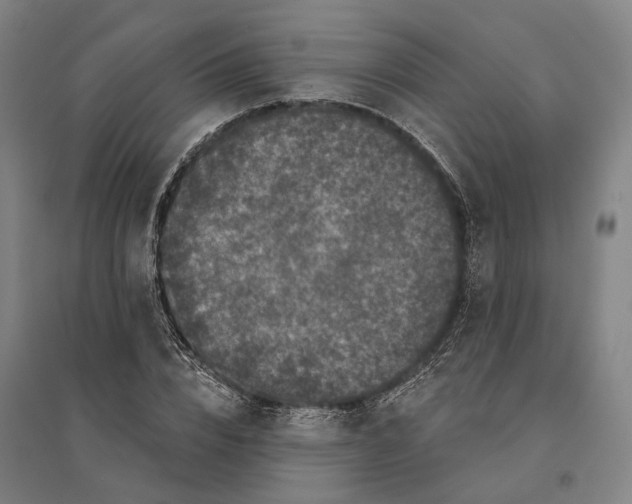 X0000095110832200712301734