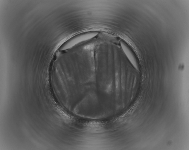 X0000095110834200712301734