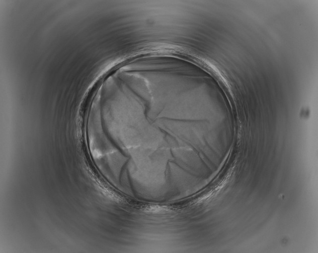 X0000095110835200712301734