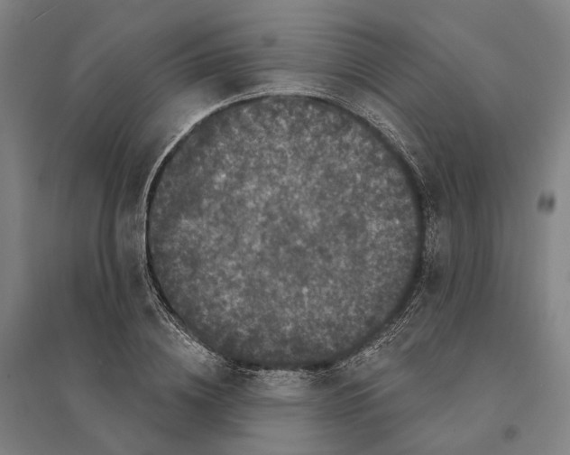 X0000095110836200712301734