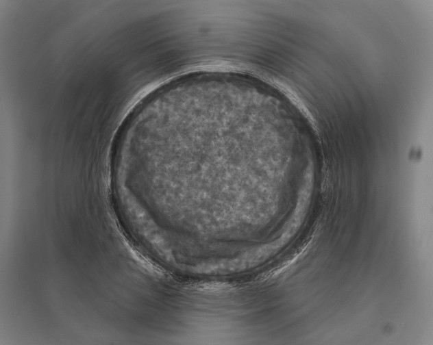 X0000095110837200712301734