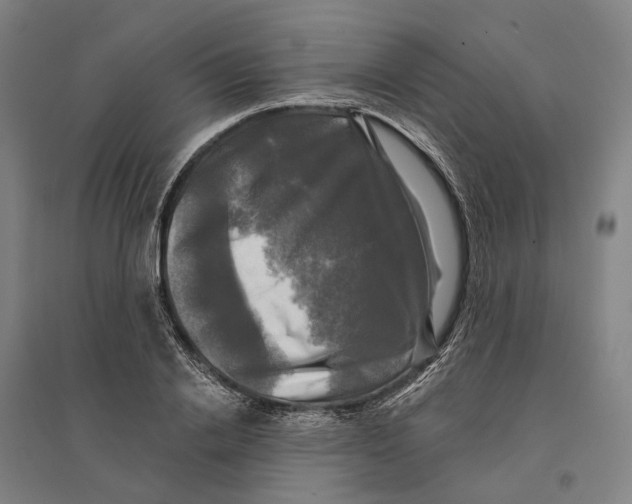 X0000095110838200712301734