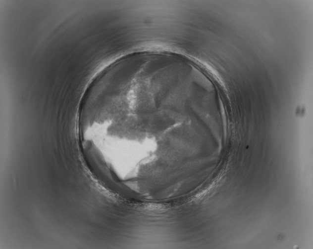 X0000095110839200712301734