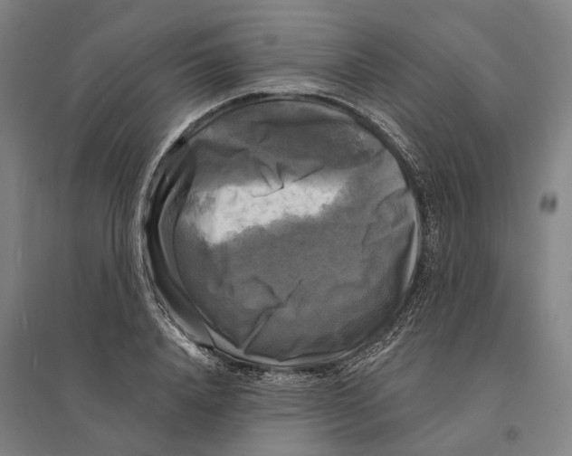 X0000095110840200712301734