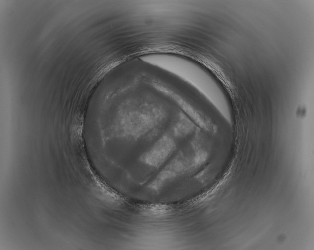 X0000095110841200712301734