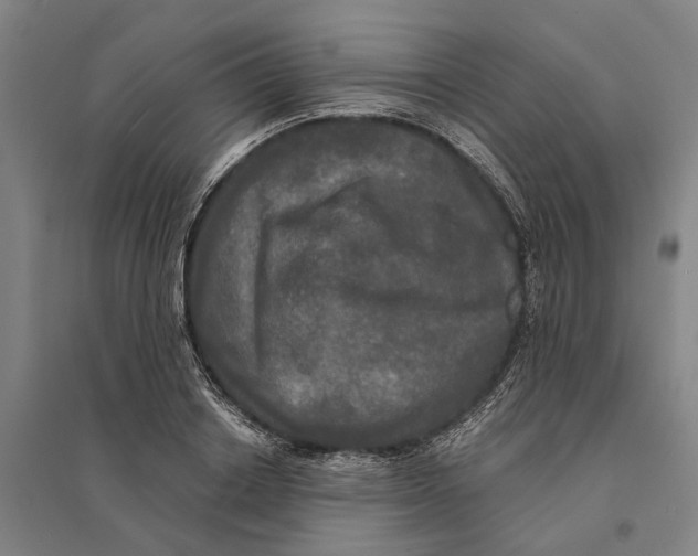 X0000095110842200712301734