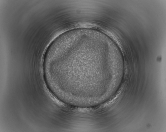 X0000095110843200712301734