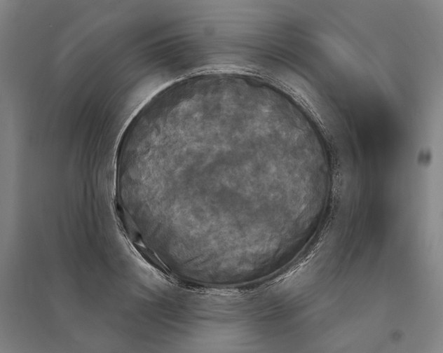 X0000095110844200712301734