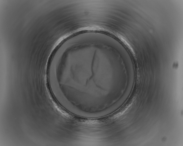 X0000095110845200712301734