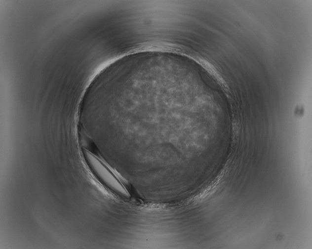 X0000095110846200712301734