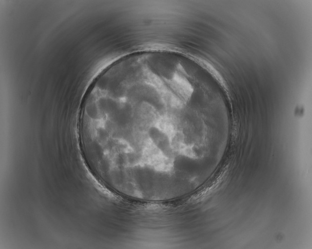 X0000095110847200712301734