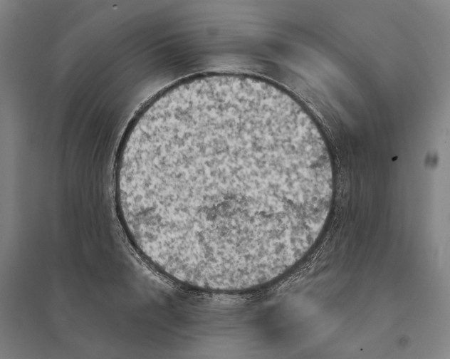 X0000095110848200712301734