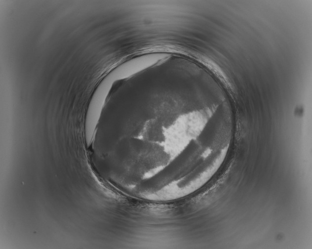 X0000095110849200712301734