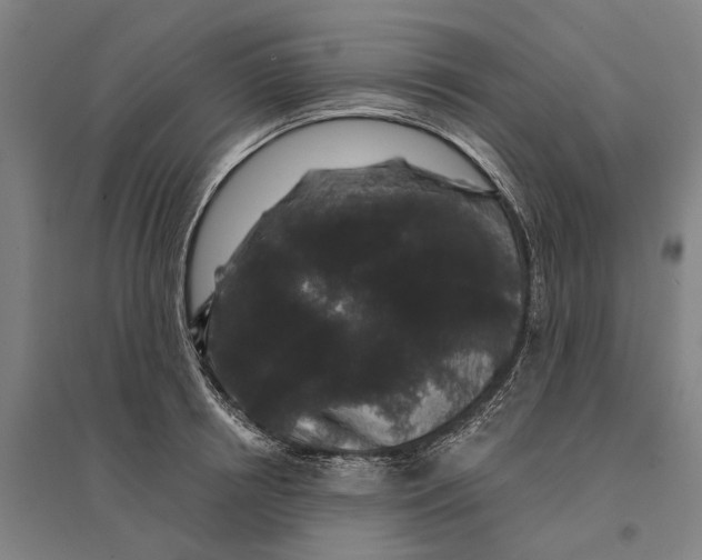 X0000095110850200712301734