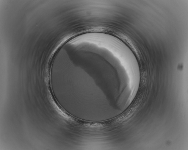 X0000095110851200712301734