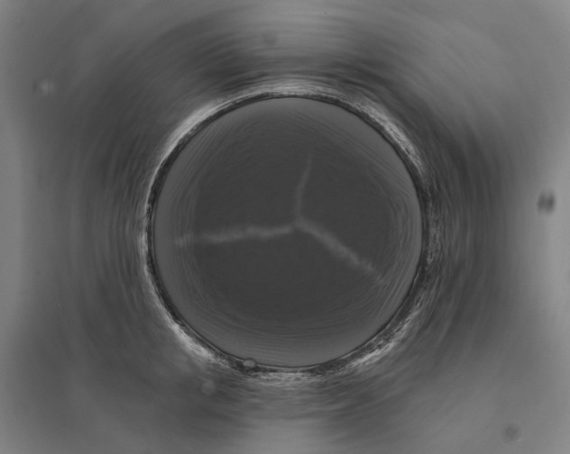 X0000095110853200712301734