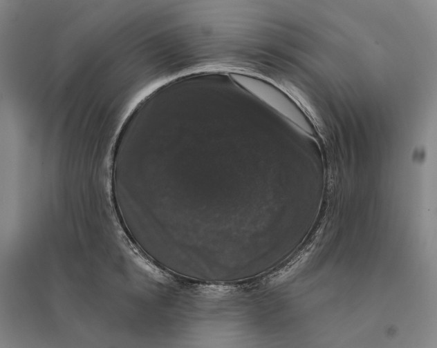 X0000095110854200712301734