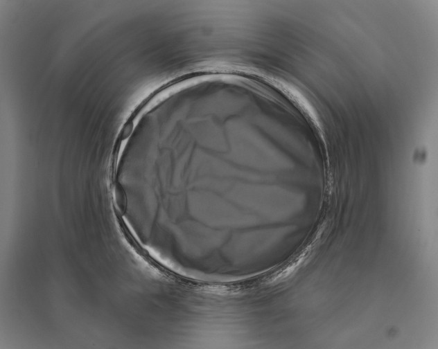 X0000095110855200712301734