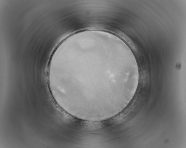 X0000095110856200712301734