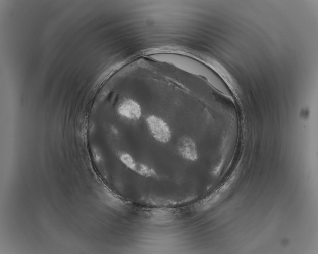 X0000095110857200712301734