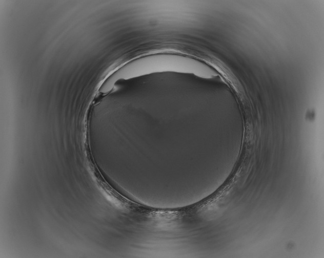 X0000095110858200712301734