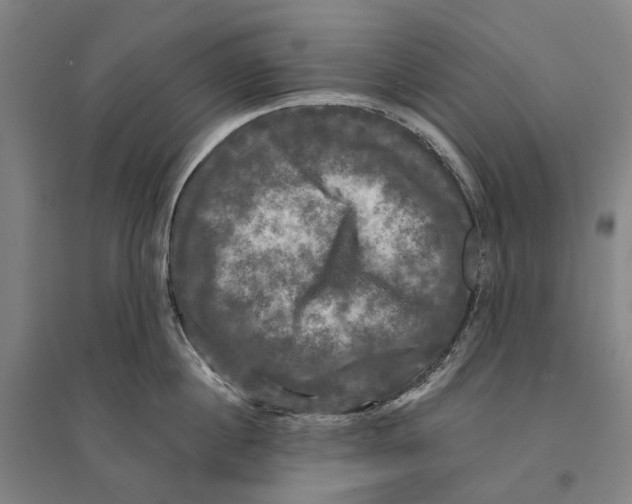 X0000095110860200712301735