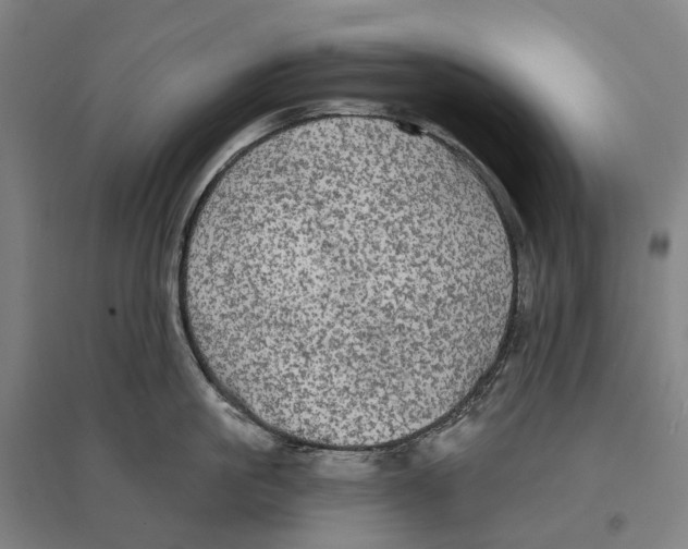 X0000095110861200712301735