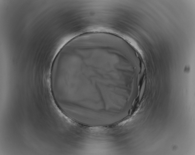 X0000095110863200712301735