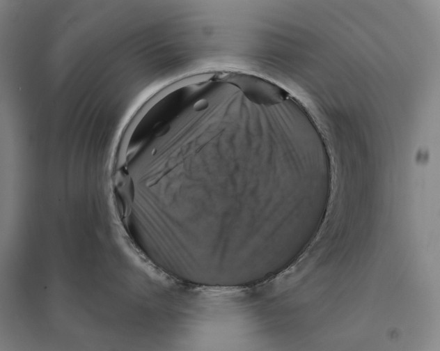 X0000095110864200712301735