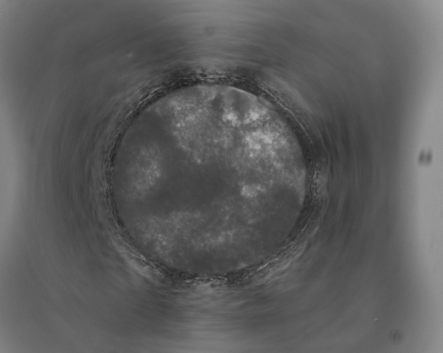 X0000095110865200712301734