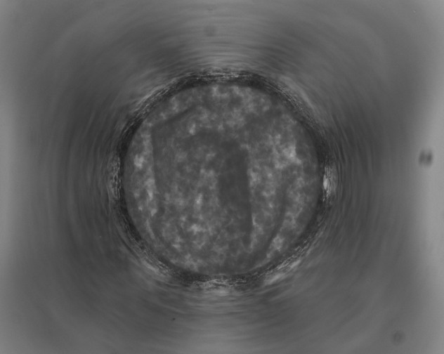 X0000095110867200712301734