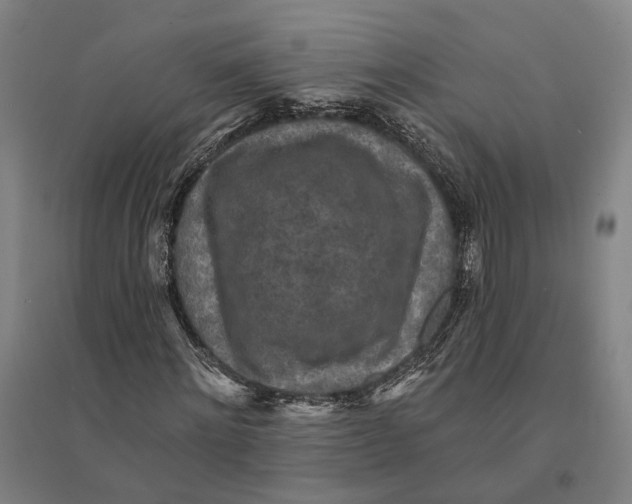 X0000095110868200712301734