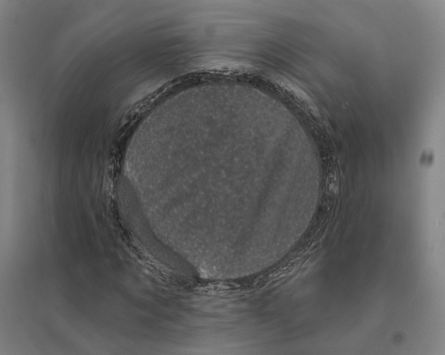 X0000095110869200712301734