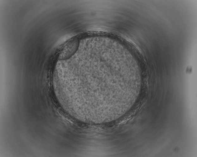 X0000095110870200712301734