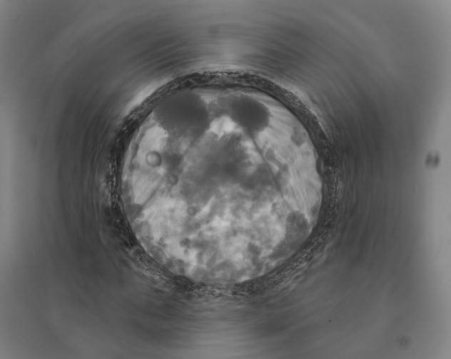 X0000095110871200712301734