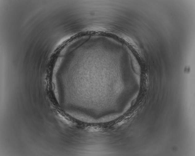 X0000095110872200712301734