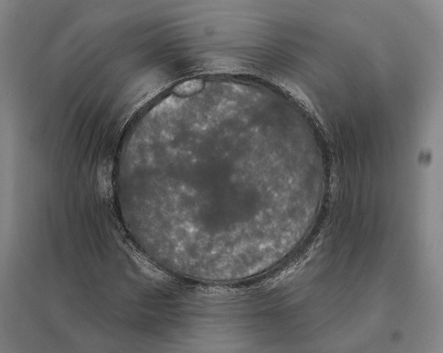 X0000095110873200712301734