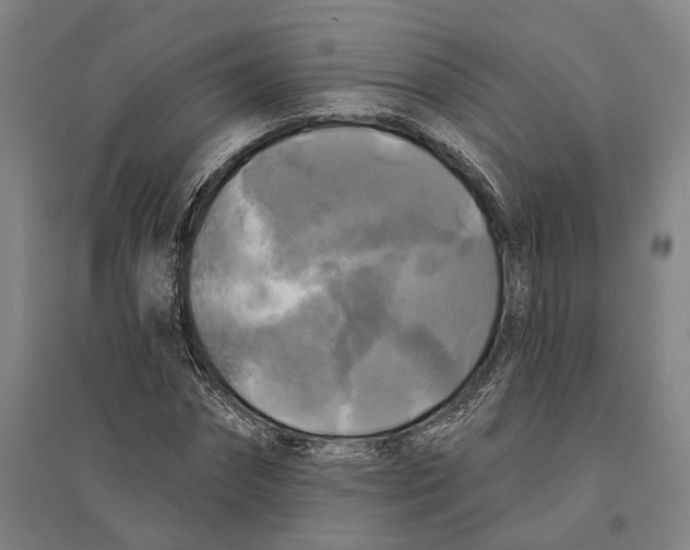 X0000095110874200712301734