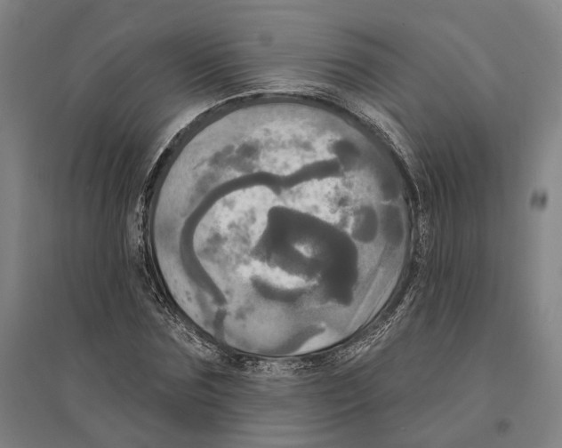 X0000095110875200712301733